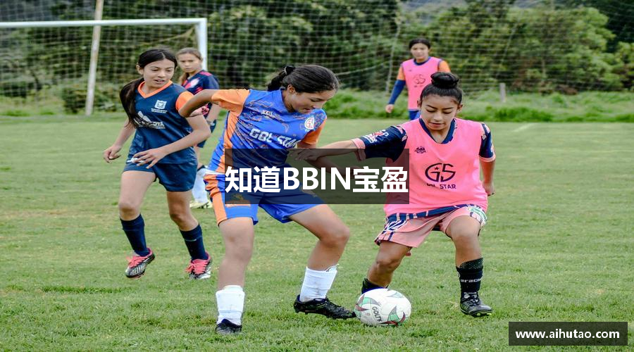 知道BBIN宝盈
